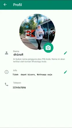 Wathsapp video