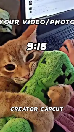 Mẫu 10 ảnh giật giật