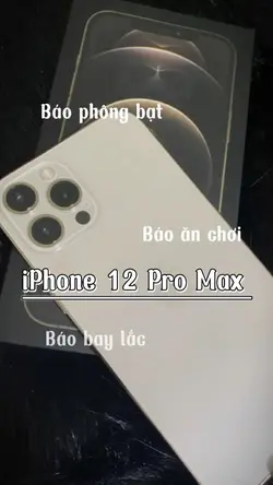 iPhone 12 Pro Max 
