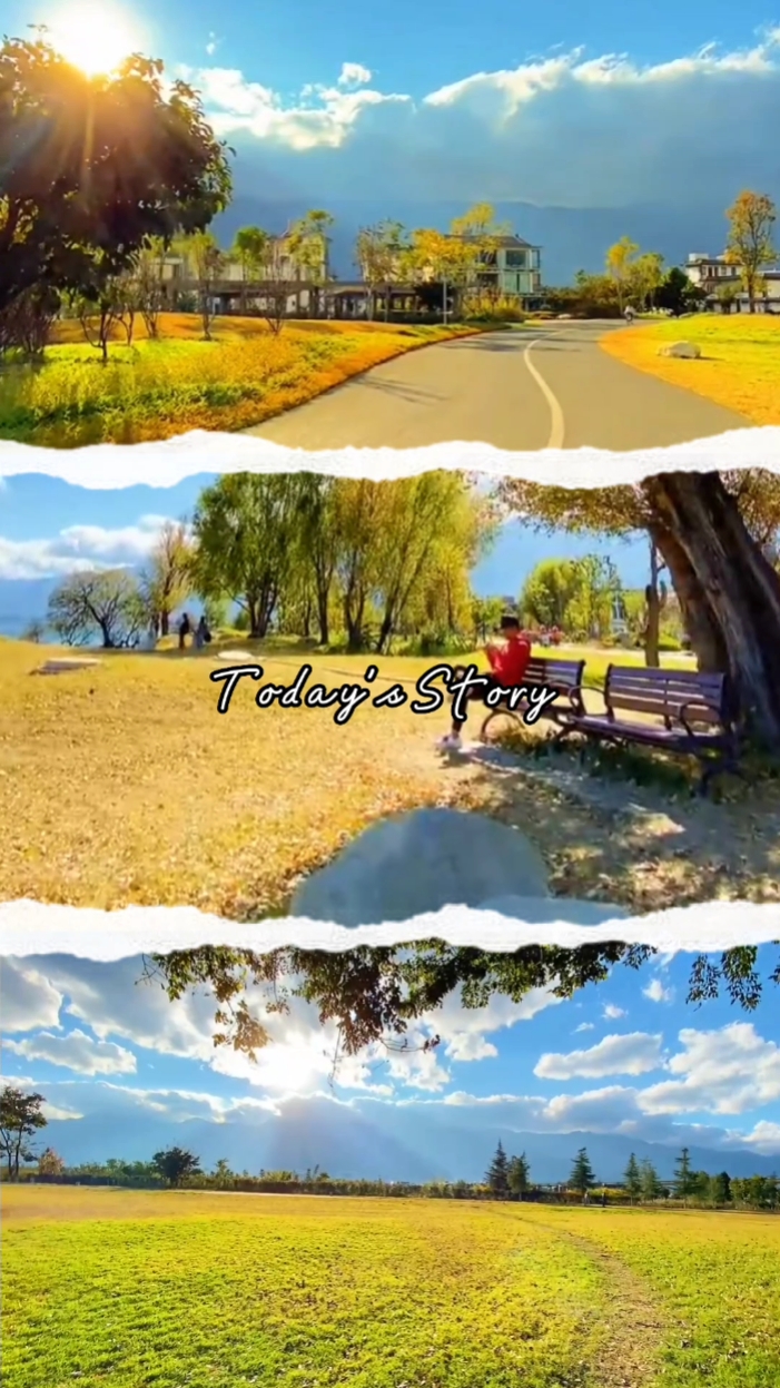 GRID DE VLOG 01,02