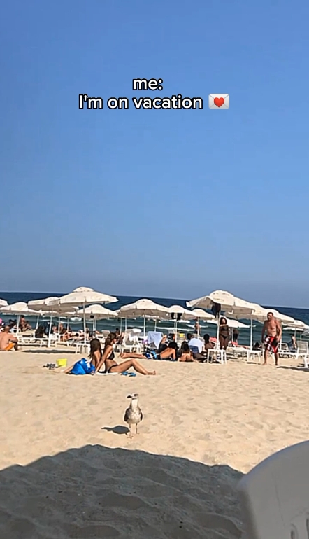 Estou de férias