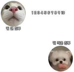 키 작은 친구에게 보내보세요!