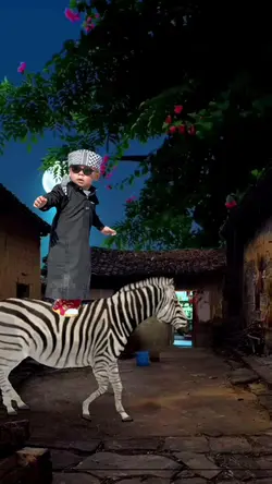 Naik Zebra ²