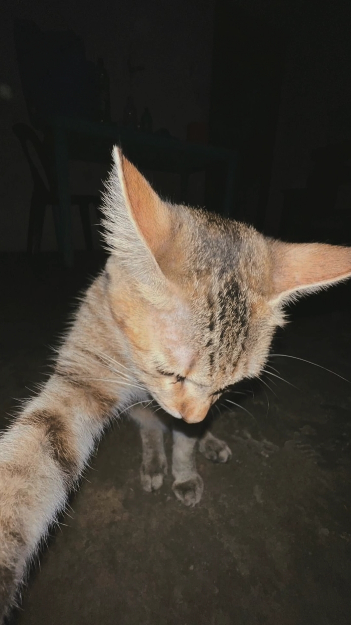 BERHENTI