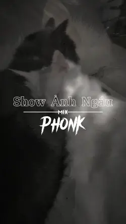 Phonk Beat Cháyy