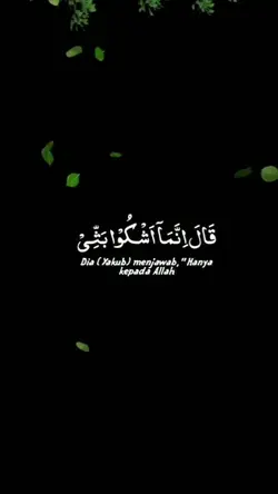 Surah Yusuf Ayat 86