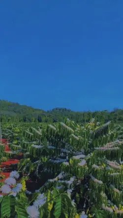 Slow thiên nhiên