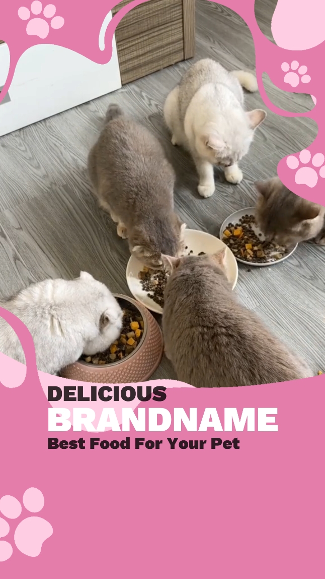 Exibição de ingredientes para alimentos para animais de estimação