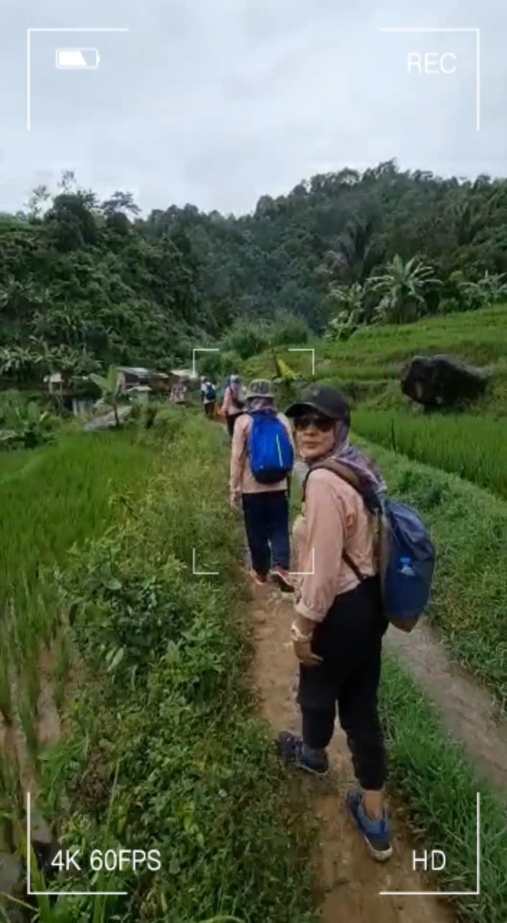 Tracking 