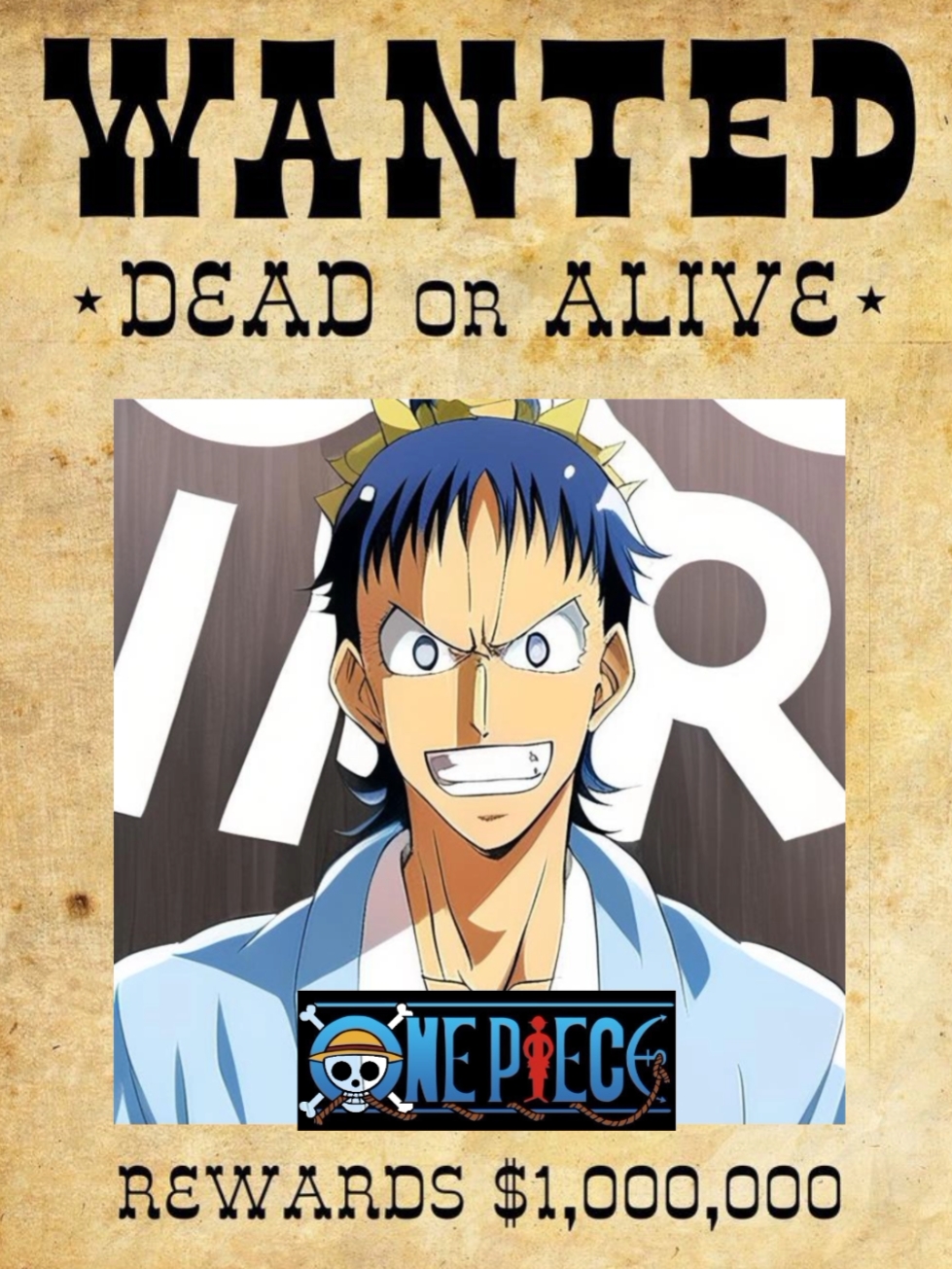 One piece anime