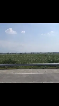 Short film aesthetic