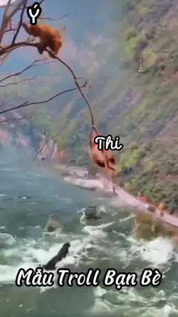 mẫu troll bạn bè