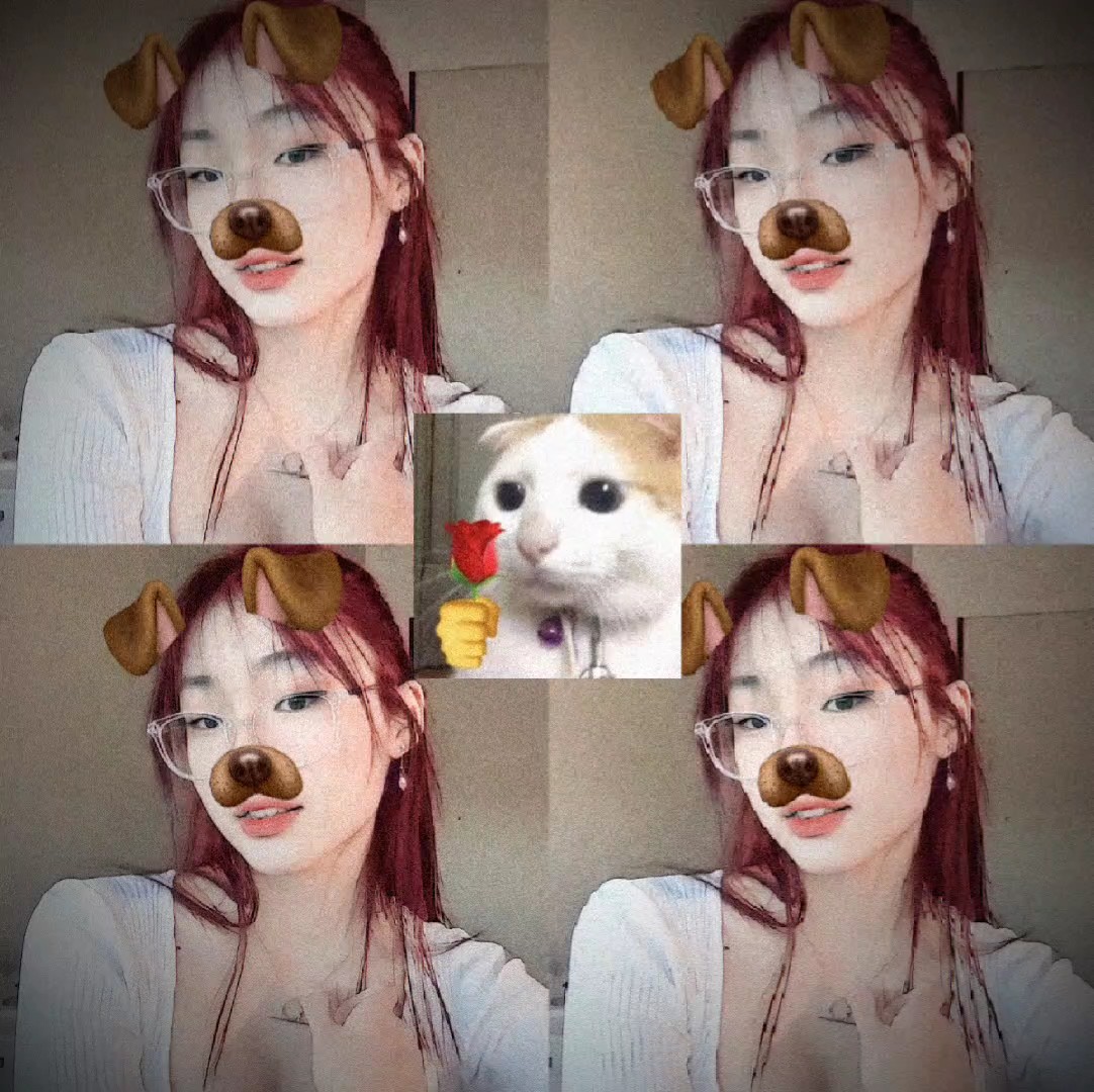chien aux cheveux roux v3