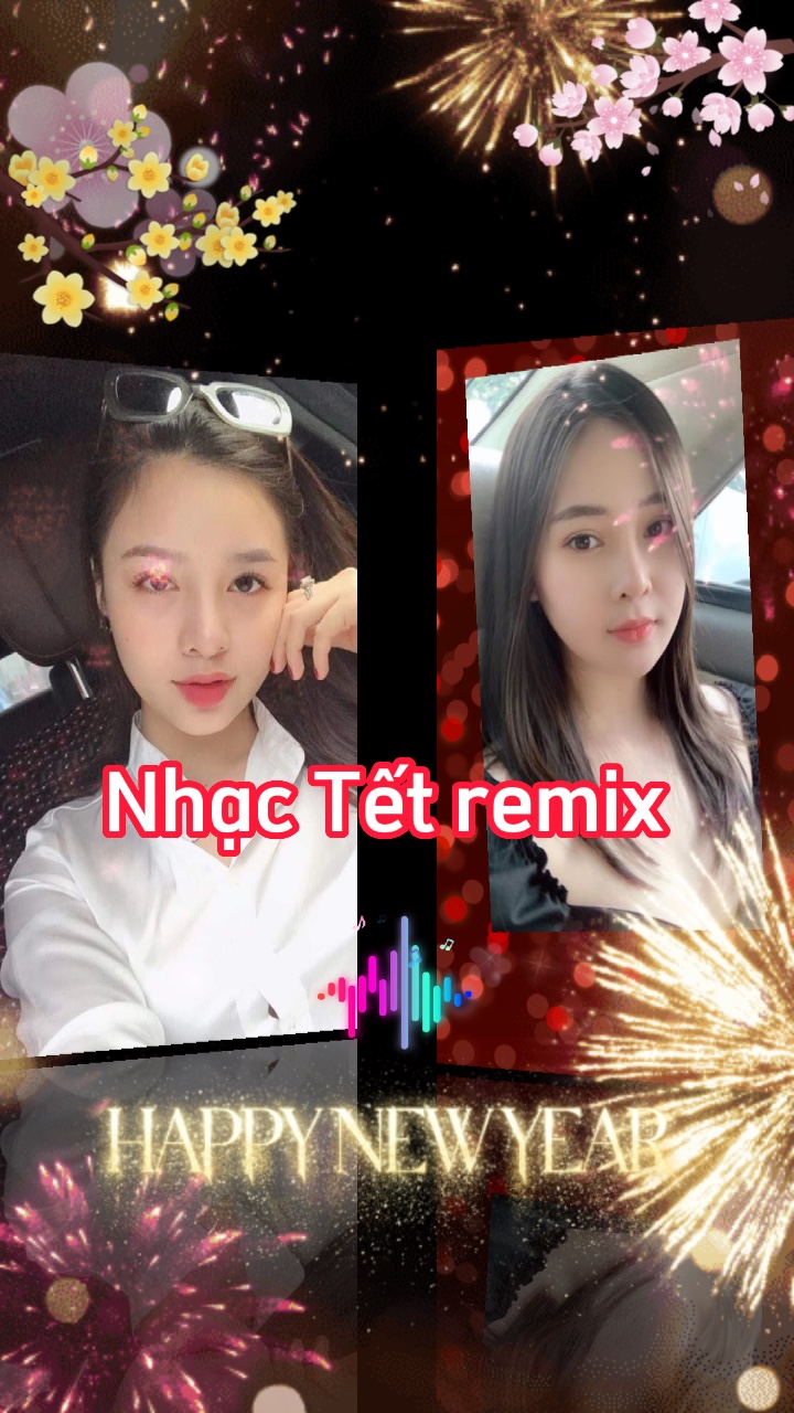 Một rừng hoa mai nở