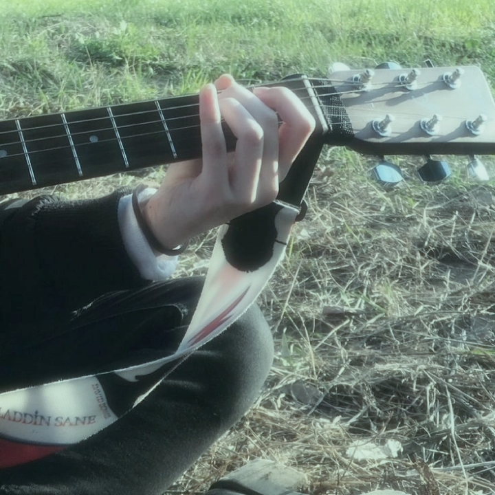 Cover Picture