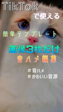 1分間の恋人