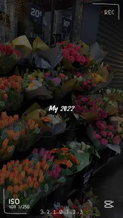 Tổng kết năm 2022