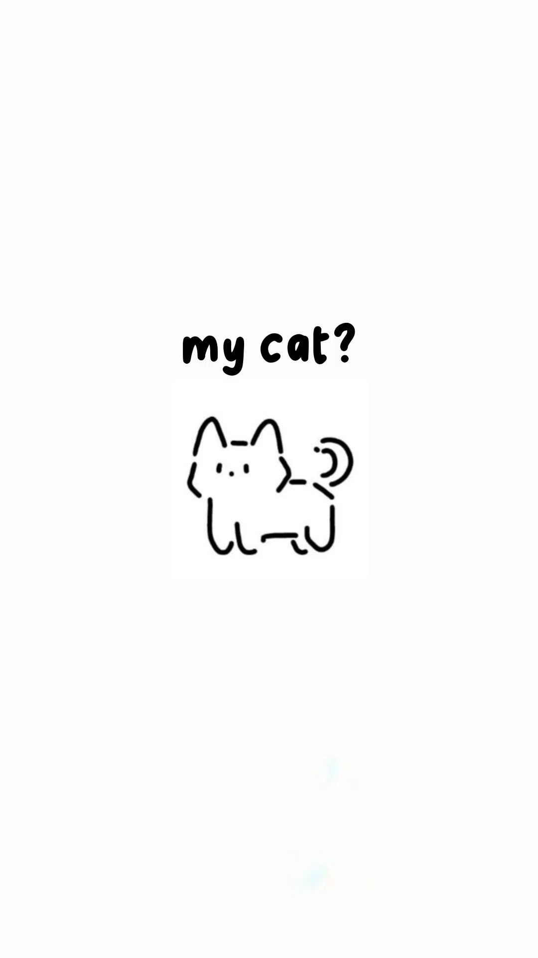 my cat ^^
