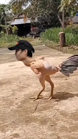 storywa