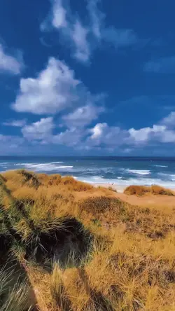 filter x slowmo
