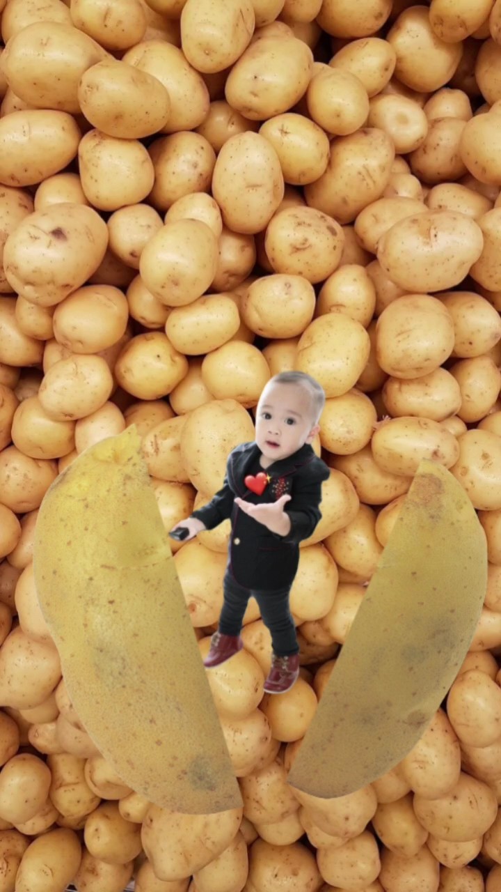 potatos ⁴