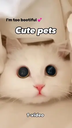 cute pets