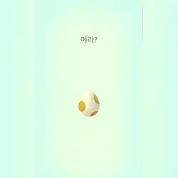 포켓몬 알 부화!