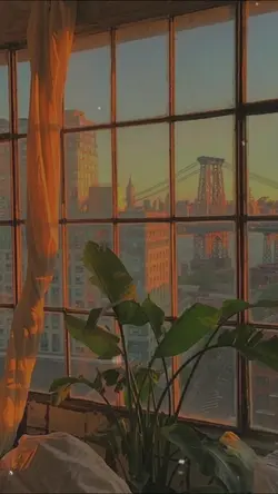 jangan pernah kau