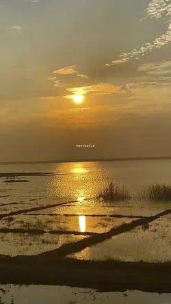 ความหวัง