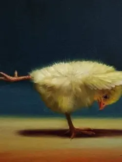 Thể dục trên nhạc