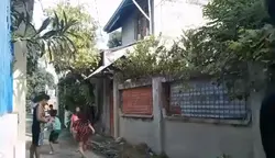 landscape vid