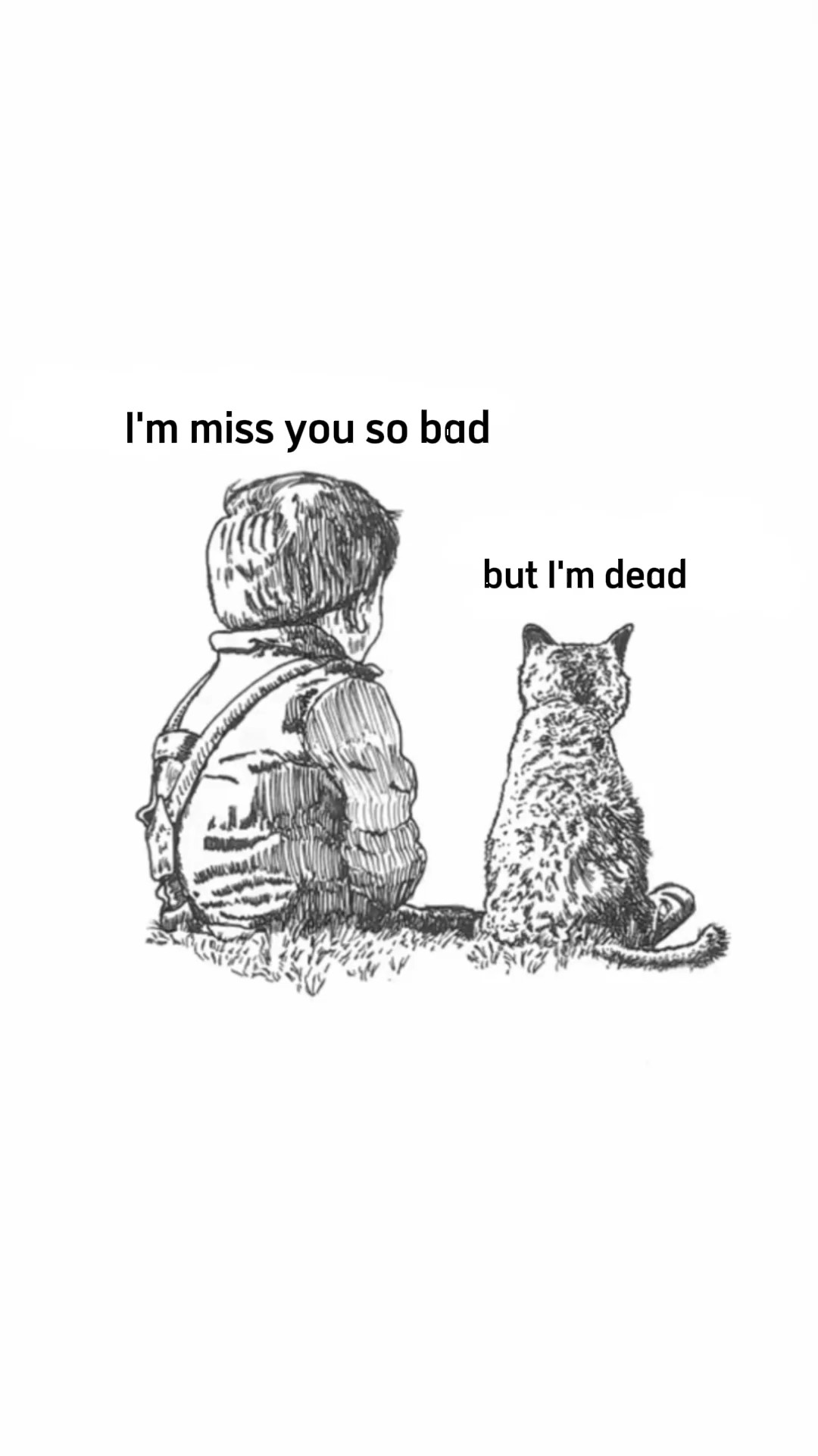 ver kucing 'dead'