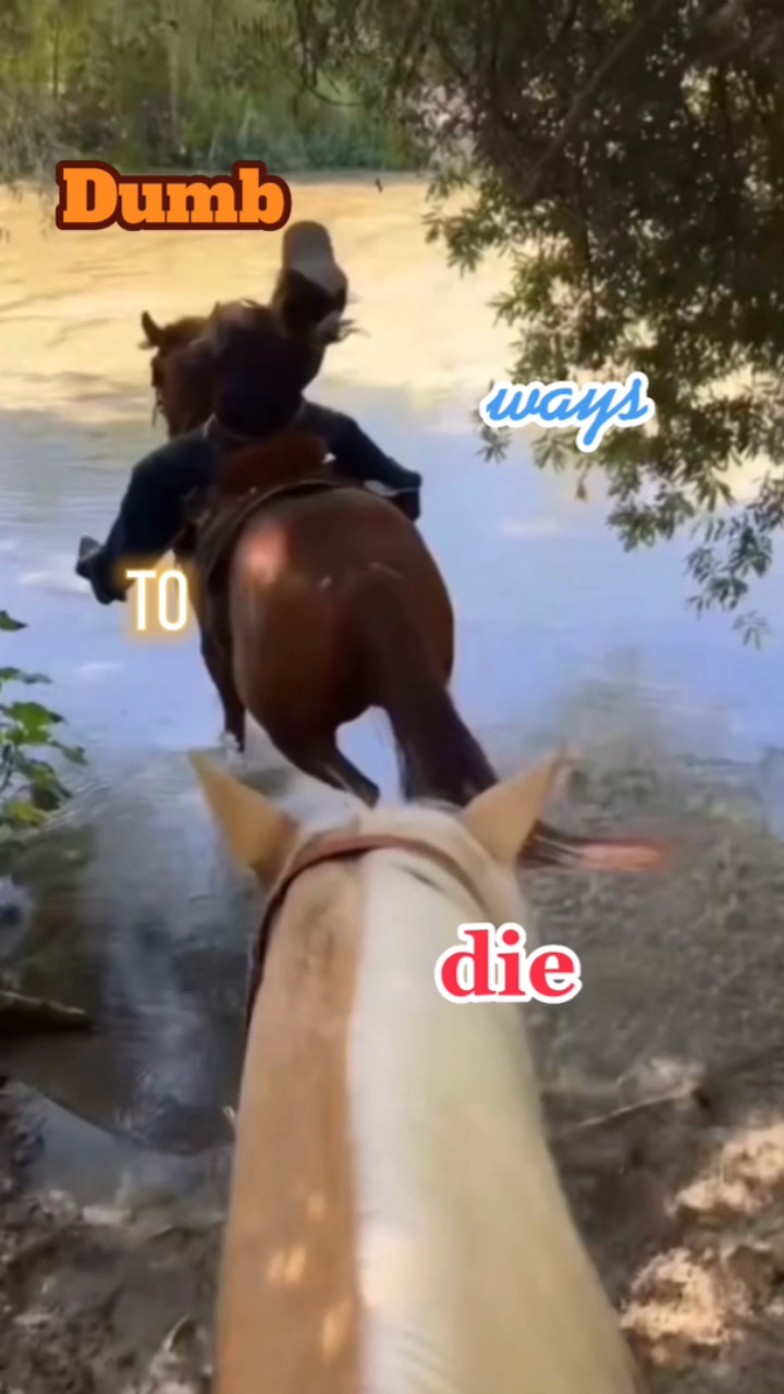 Dumme Wege zu sterben