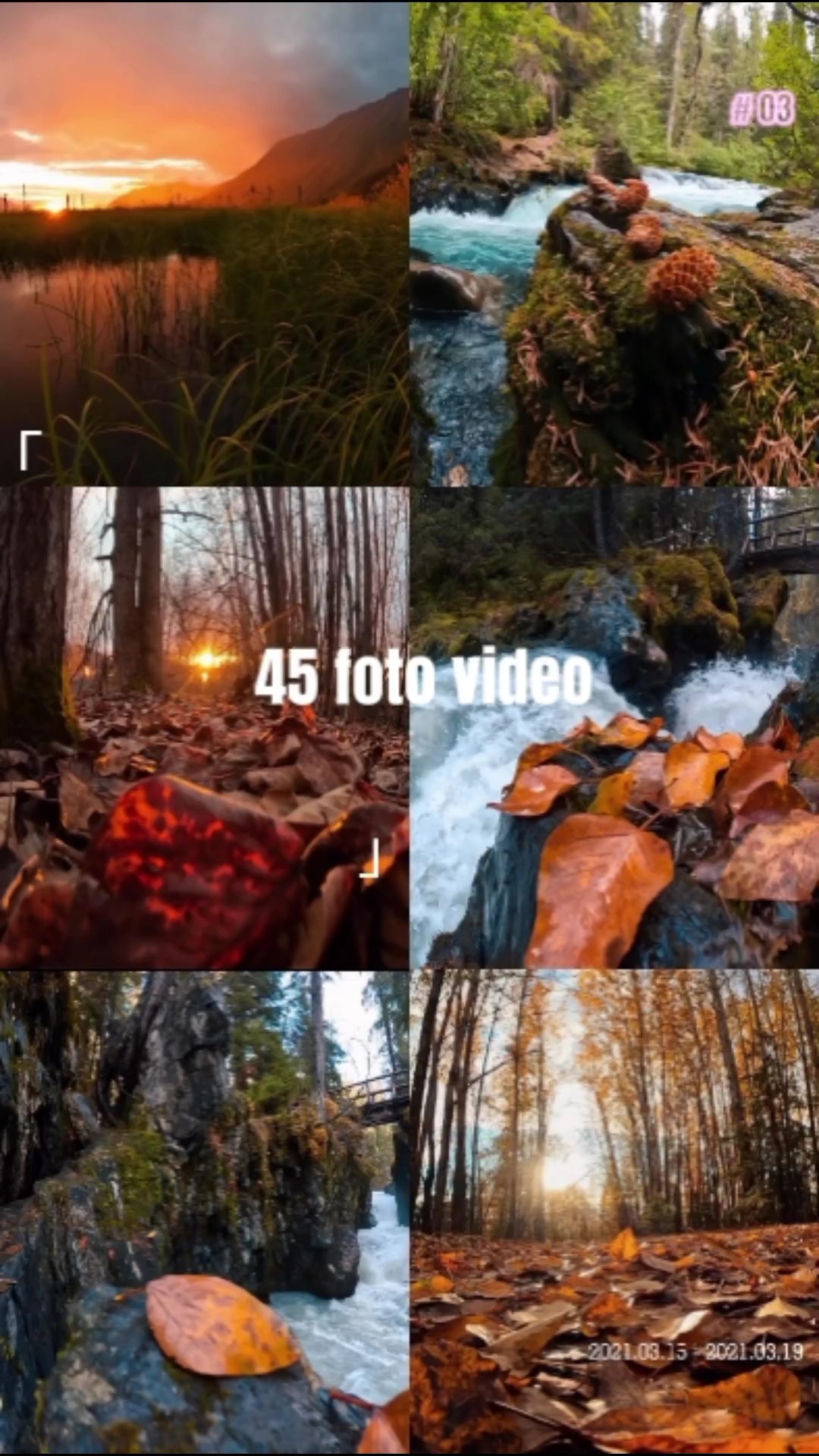 45 klip foto video