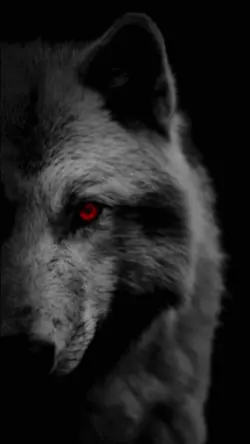 Wolve edit ๐บ๐ค