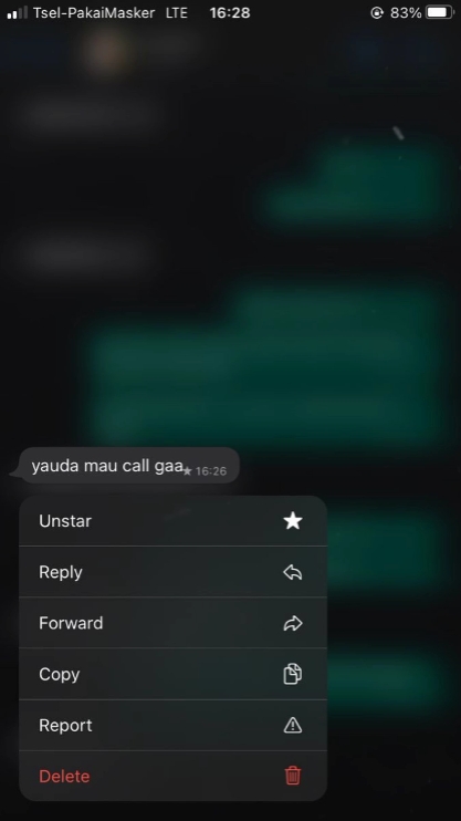 Chamada / chat ss