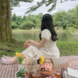 picnic time