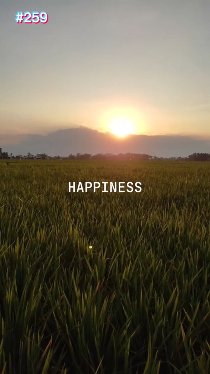 Happiness