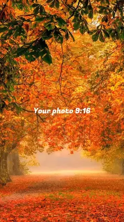 Photo puzzle 9:16