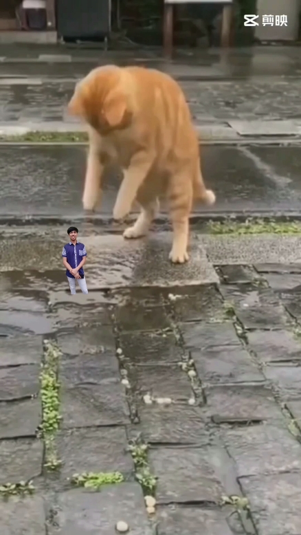 title? haha