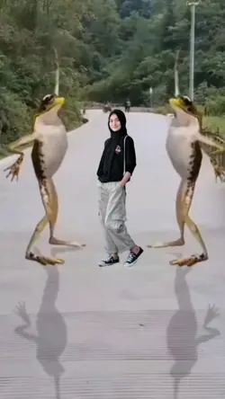 KODOK joget