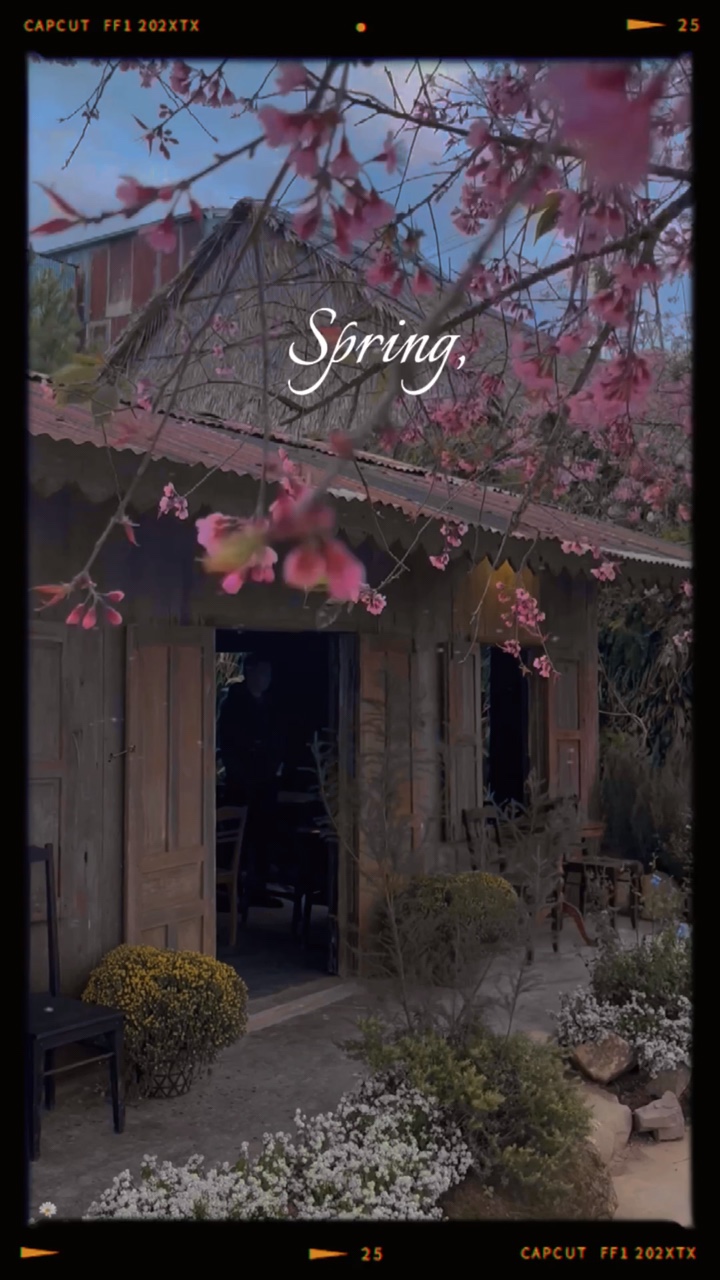 Primavera. 1 vídeo