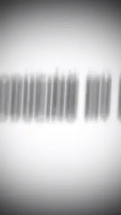 Green screen overlay