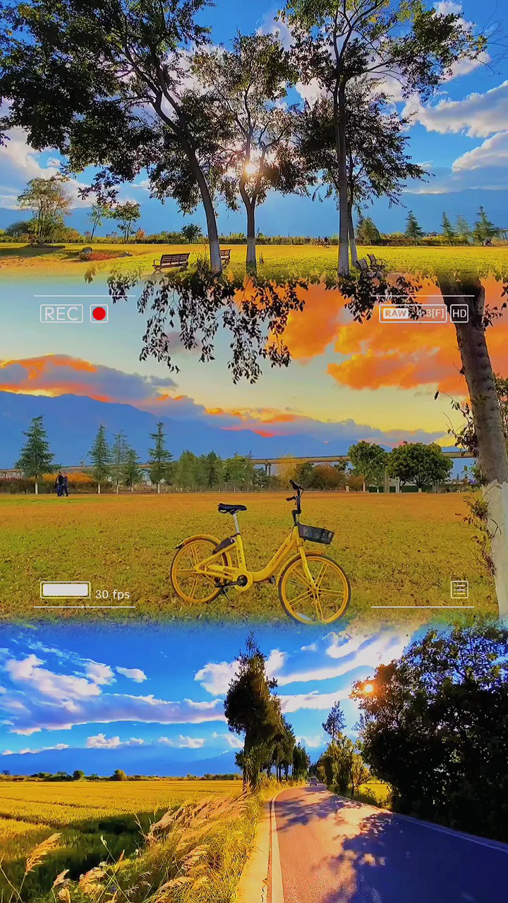 Video frame 
