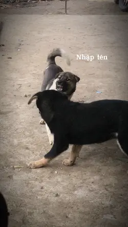 2 Chị em tôi