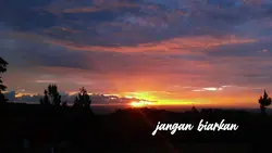 damai ini pergi