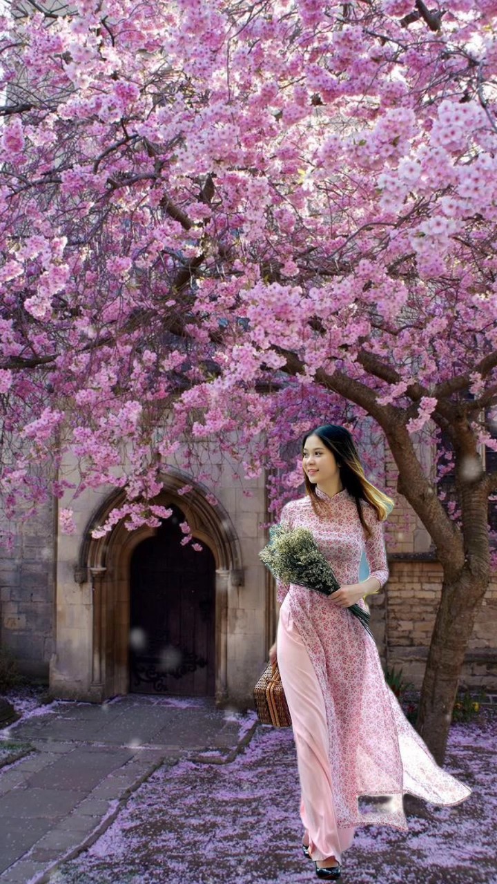 Bunga Sakura