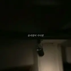 호미들