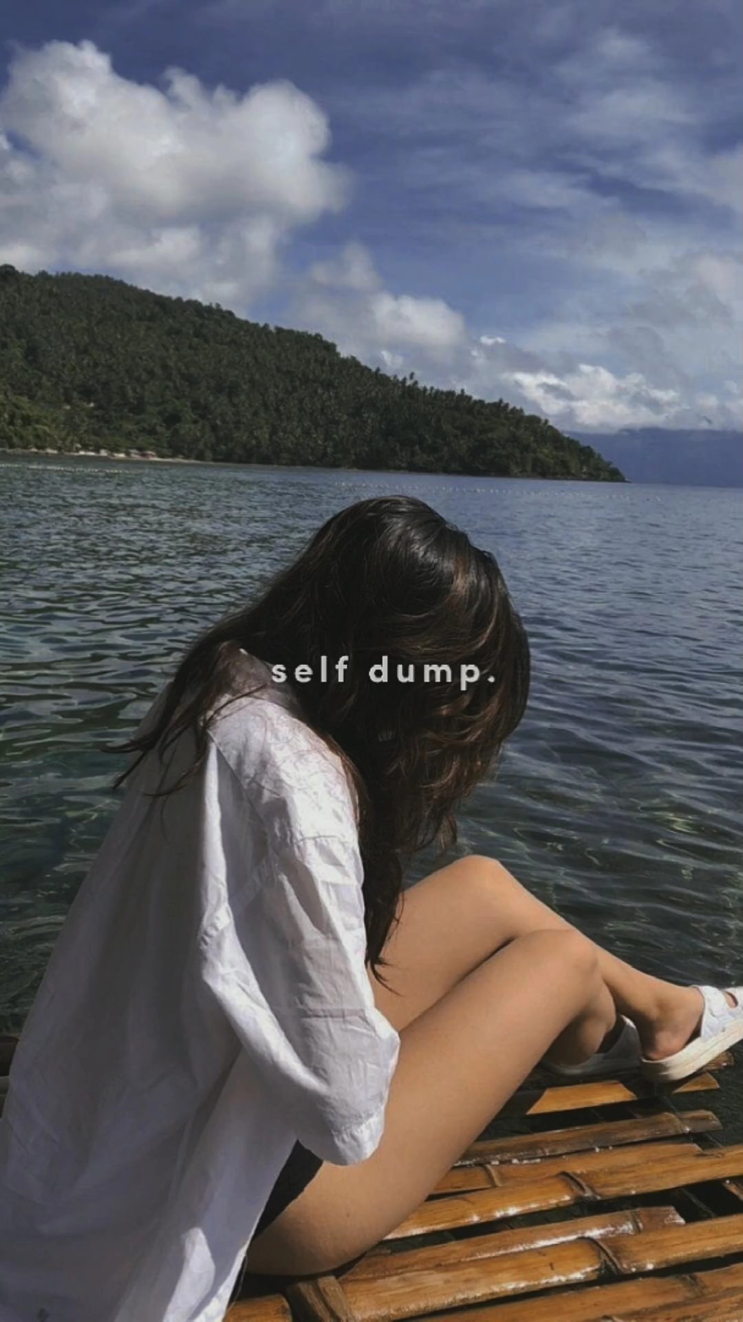 Self Dump 
