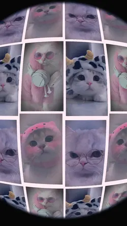 4รูป หมุนๆ